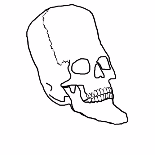 OpenSea profile picture for @petrol