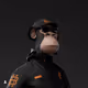 theboishauib510