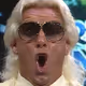 Ric-Flair-Drip
