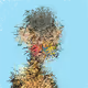 Pollock_Holdings
