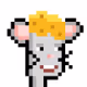 bnubCryp