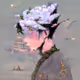 Kuraha_NFT