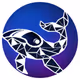 CyberWhales