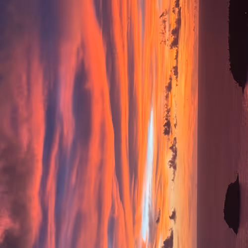 OpenSea banner for @IL