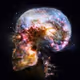 Cosmicbirch