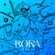 ROKAPASS