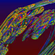 DarthFractals