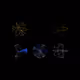 0_earliest_gaias