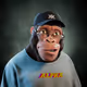 Alpha4Omega