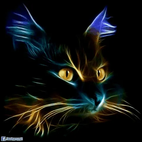 Holder avatar