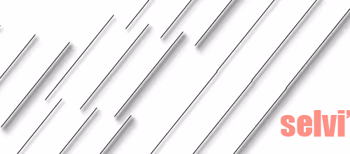 OpenSea banner for @selvi