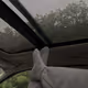 angellica