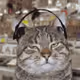 poiuycat.eth