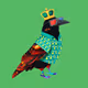 KingOfBitchain