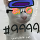 0xad778fb9ad8c7e8278be91b587fc3c5548a77dcf