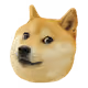 iamdatopdog
