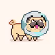 Polypugs