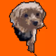 Kimiu