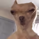 callettemd