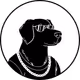 labradorlegends_com