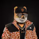 andrewduss22