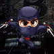 CryptoNinja26