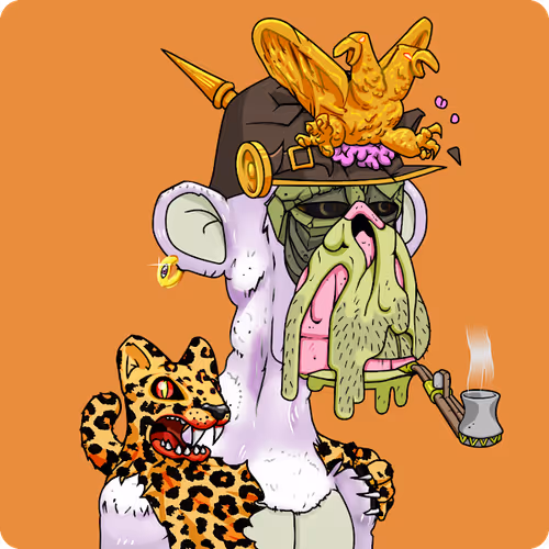 OpenSea profile picture for @diddly