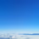 willweb