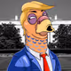 0xae29a11f6c3f9f74ed60b2a3d8364c8d1e0df68c