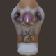 Sklpy