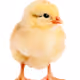 0xae42878aa5d24f9450f6790ed4ded5260b6c1c07