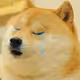 Lil_Dojo