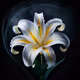 Fl0wers