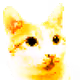 rapowerich