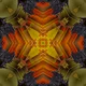 0xaea51a46d4ceb3f57e6373a1e3c4b5b4ca61ff92