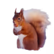 0xaea92ea584ed711c84104c582c41823a3f731693