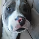 Jbezzy28