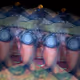 0xaec523849b0aab8c8da5a4395ec8862f8fb9af78