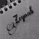 zynab-H