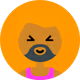StarLionNFTEnthusiast