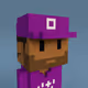 CryptoZiVoxels