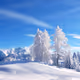 xmastree