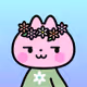 StellaCao