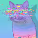 koshatnitsa