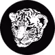 Pet_Liger