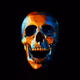 Crypto_SkullZ