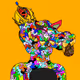 user51087