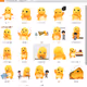0xafa7991584d37959805a090b650bcbd8f8833dab