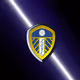 Leedsarewe