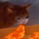 Sirspicypizza
